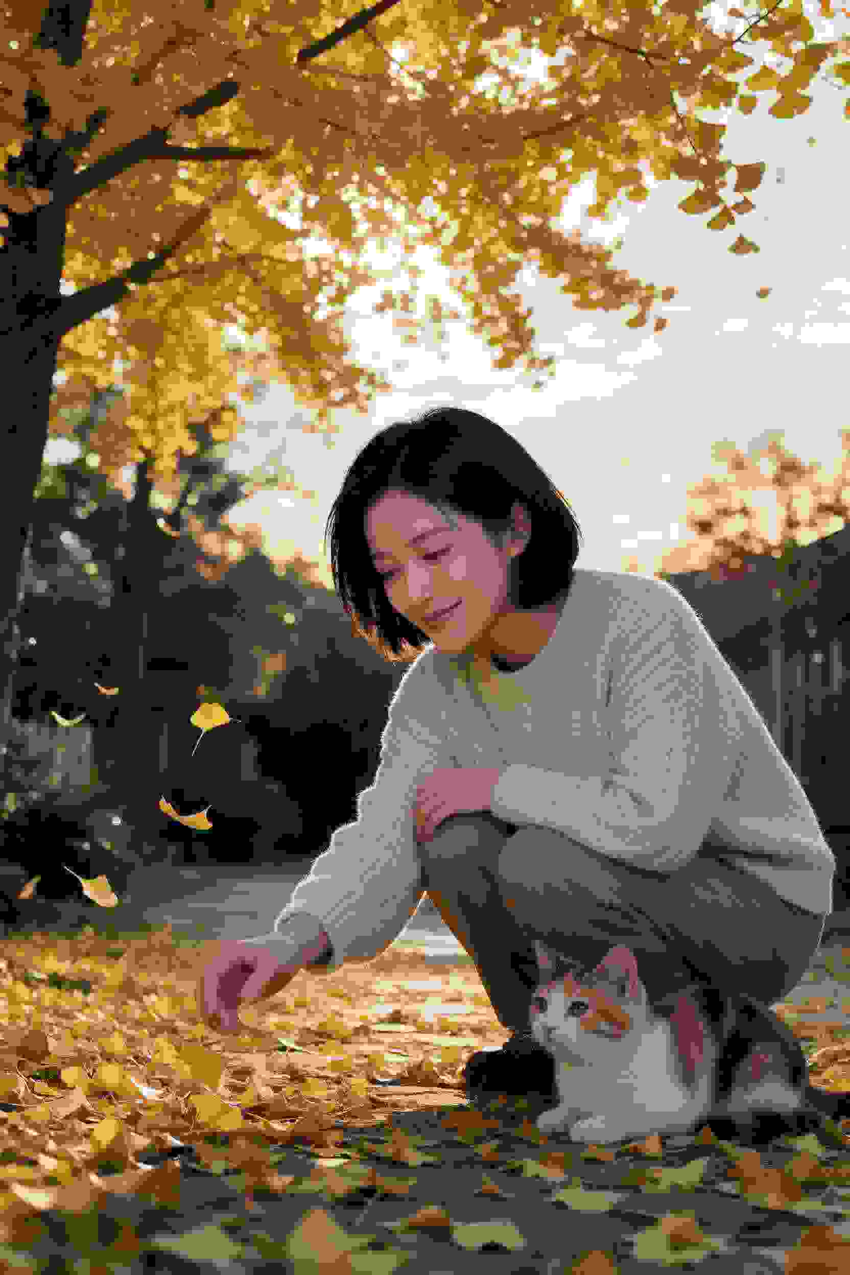 辉夜大小姐